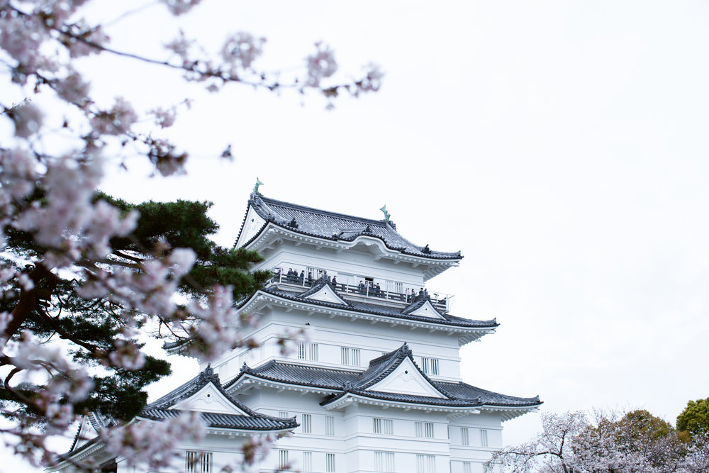 Discover Japan: From Local Gems to Global Trends