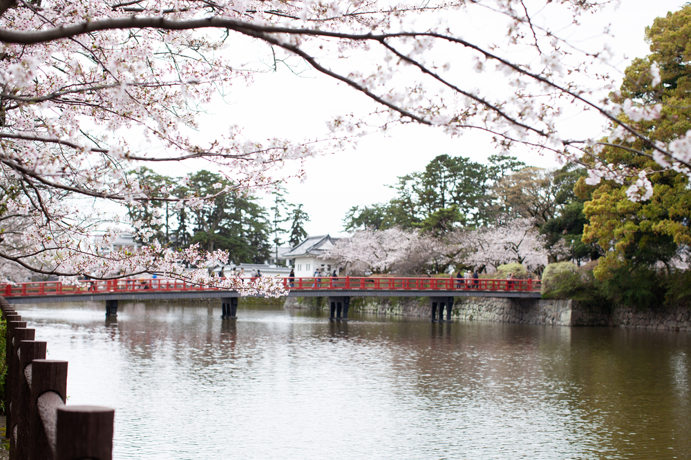 Odawara City A Journey Through Japan's Rich History and Delicious Food