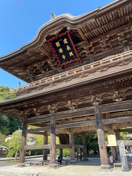 Cherry Blossoms and Zen Soup: A Visit to Kamakura's Tsurugaoka Hachimangu Shrine and Kenchoji Temple