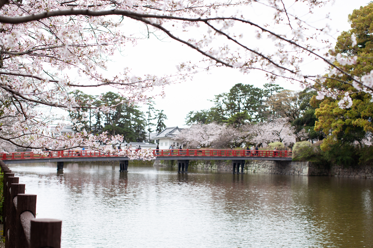 Odawara City A Journey Through Japan's Rich History and Delicious Food