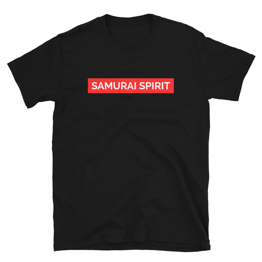 SAMURAI SPIRIT