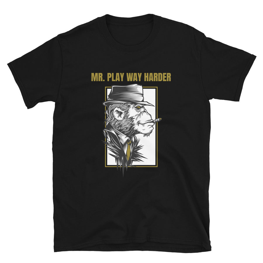 MR. PLAY WAY HARDER